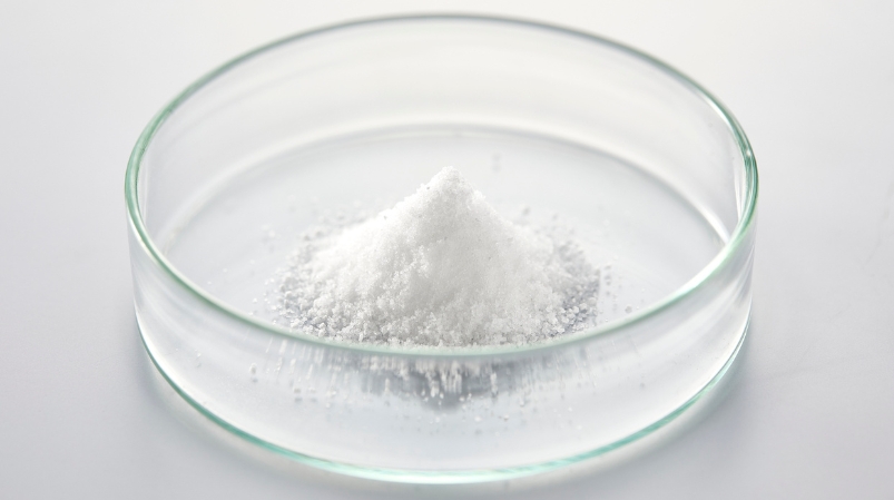 How PTA Drives Innovation in Sustainable Packaging